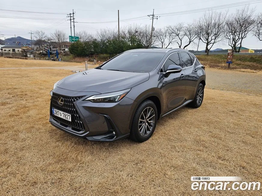 Lexus NX 2024 из KR, фото 3