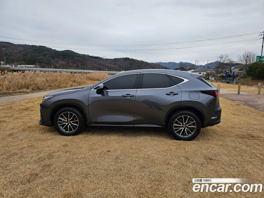 Lexus NX 2024 из KR, фото 4