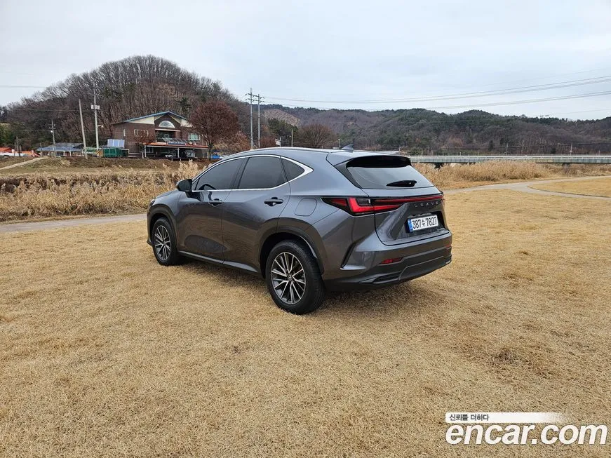 Lexus NX 2024 из KR, фото 5