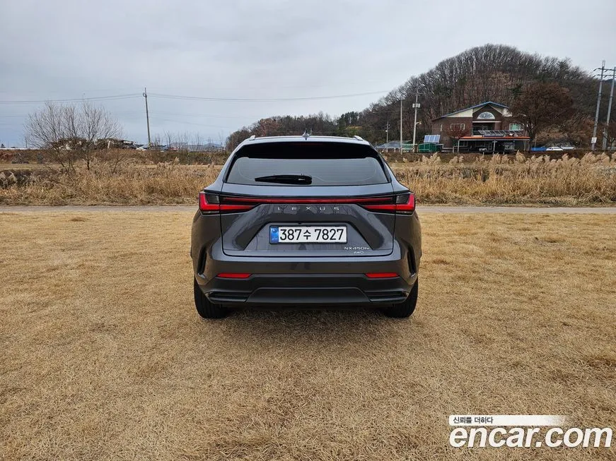 Lexus NX 2024 из KR, фото 6