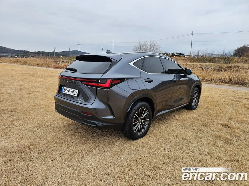 Lexus NX 2024 из KR, фото 7