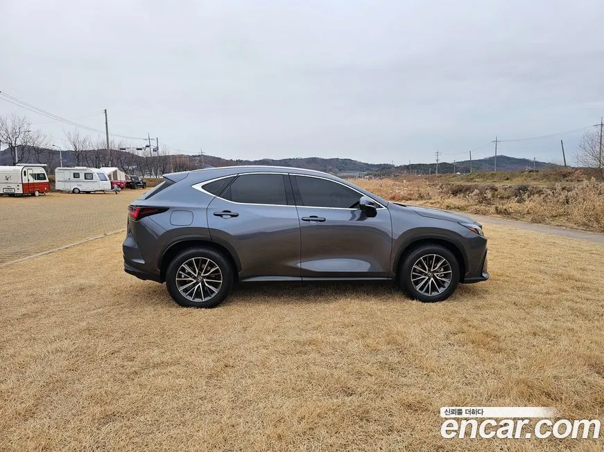 Lexus NX 2024 из KR, фото 8