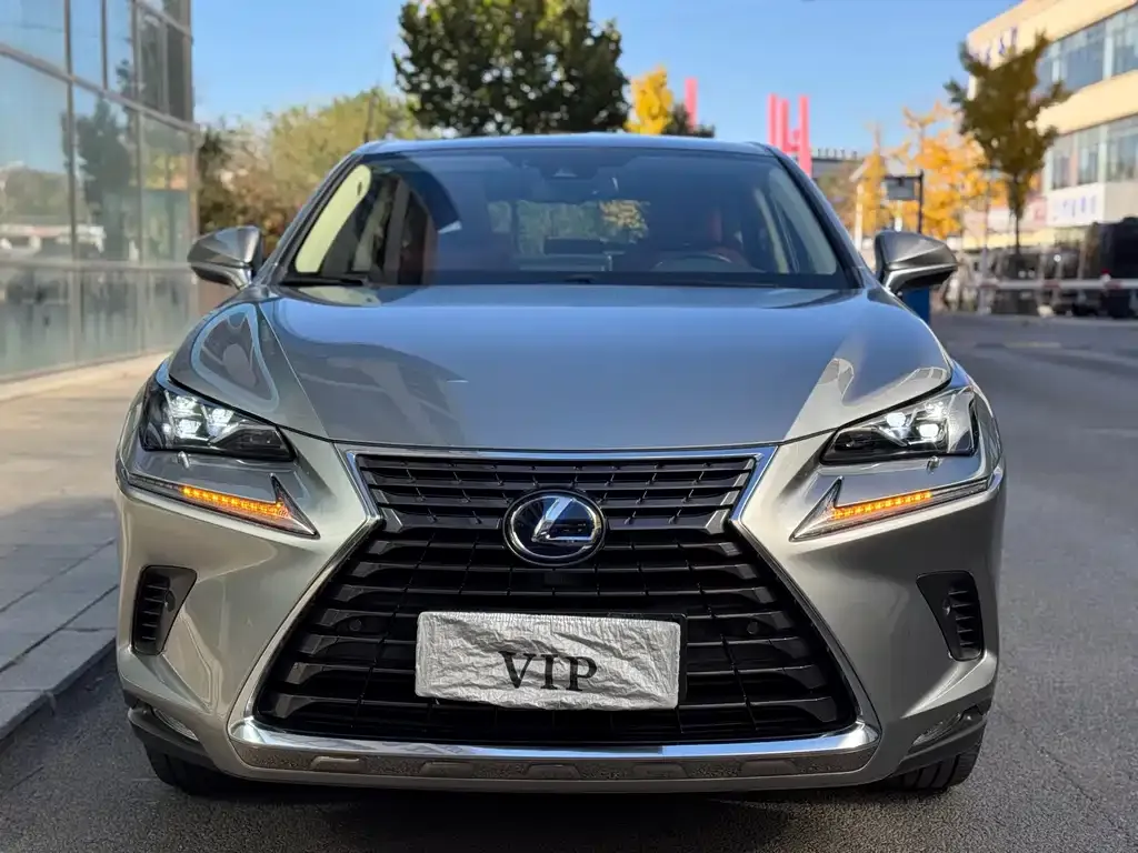 Lexus NX 2021 из CN, фото 2