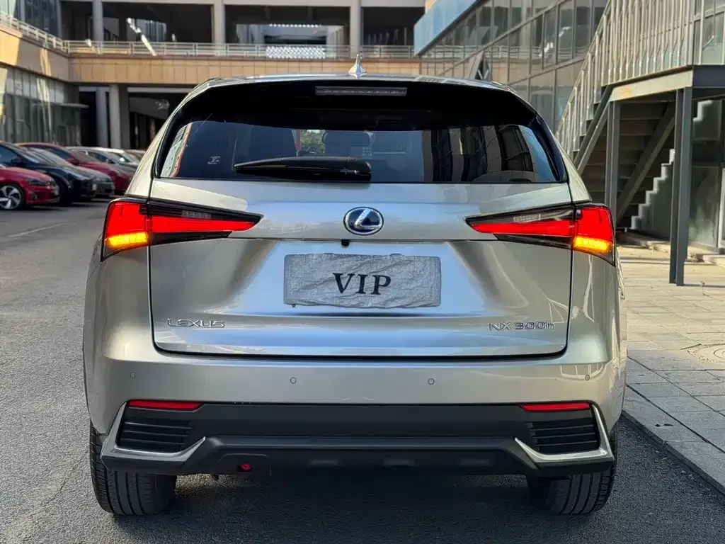 Lexus NX 2021 из CN, фото 5