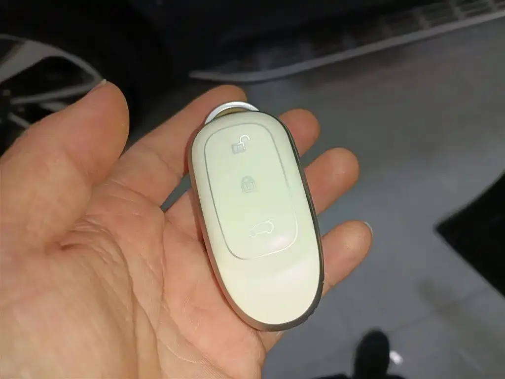 Li Auto ONE 2022 из CN, фото 9