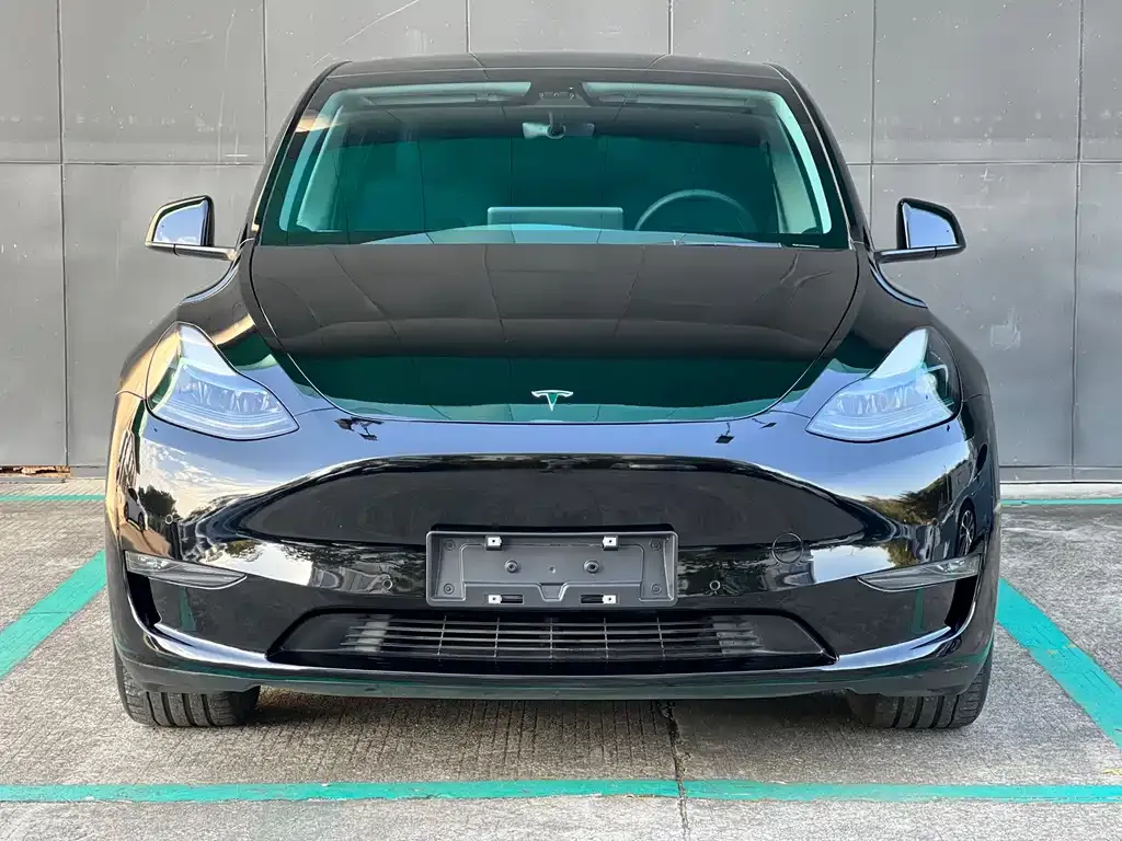 Tesla Model Y 2023 из CN, фото 2