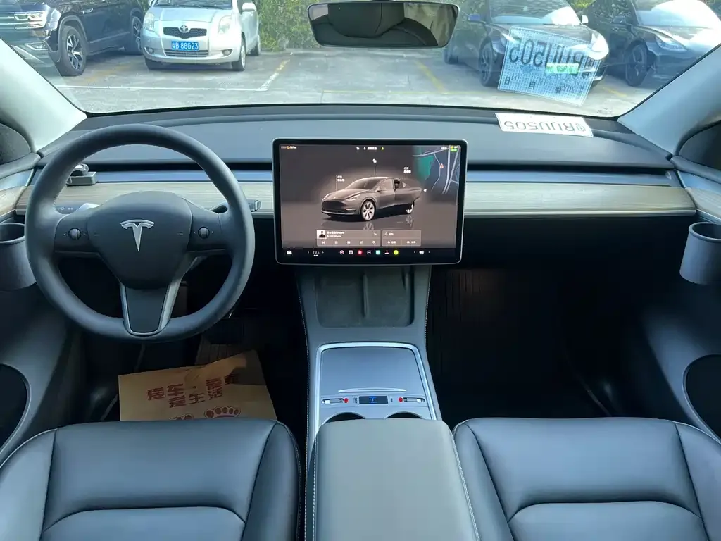 Tesla Model Y 2023 из CN, фото 6