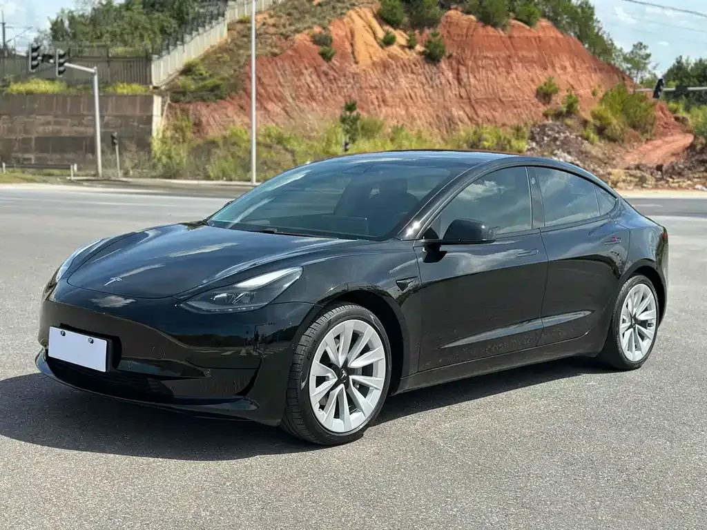 Tesla Model 3 2021 из CN, фото 1
