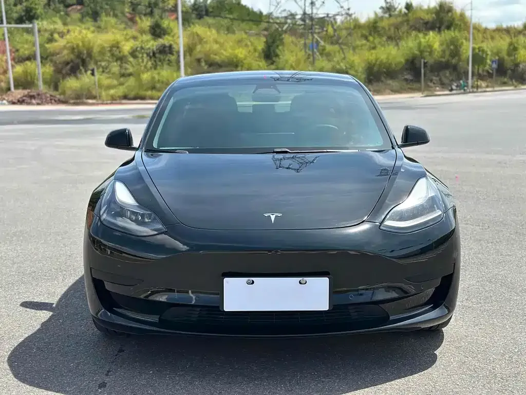 Tesla Model 3 2021 из CN, фото 2