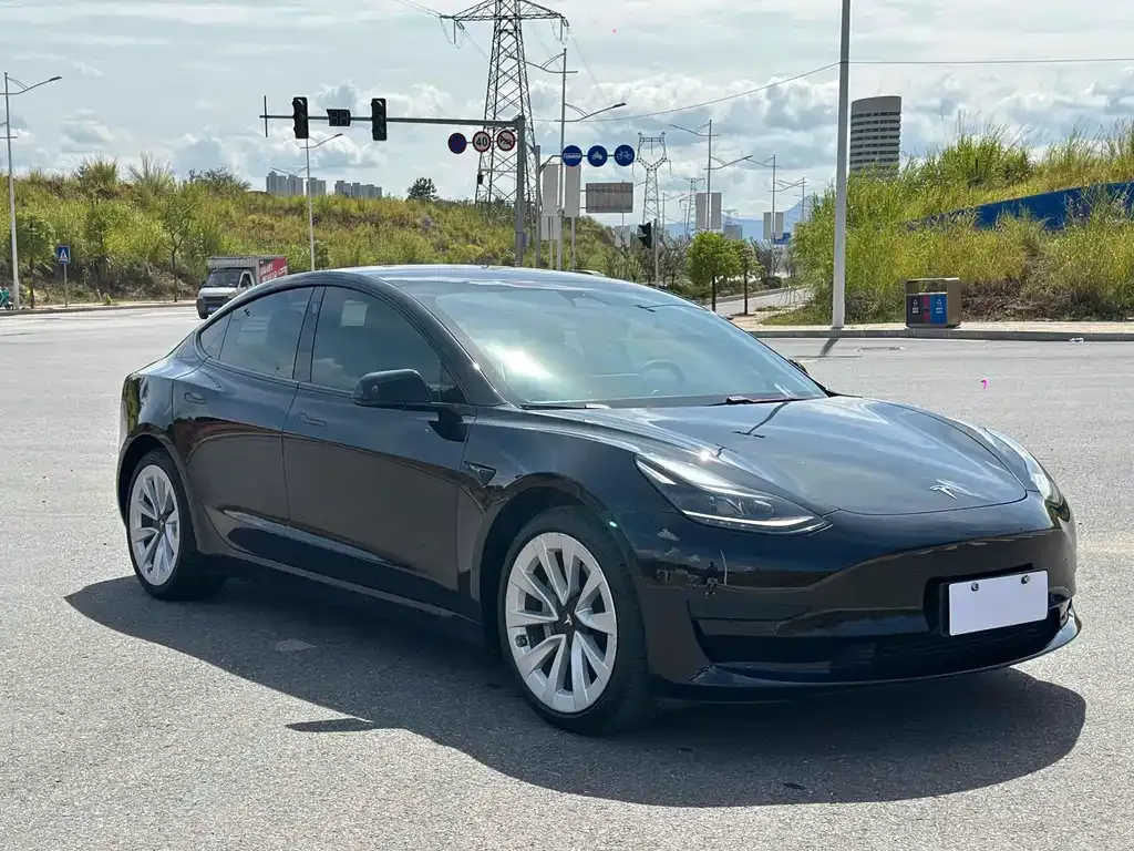 Tesla Model 3 2021 из CN, фото 3