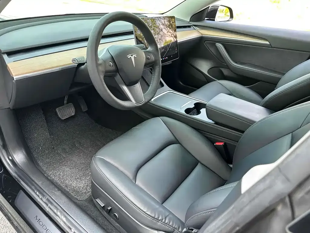 Tesla Model 3 2021 из CN, фото 4