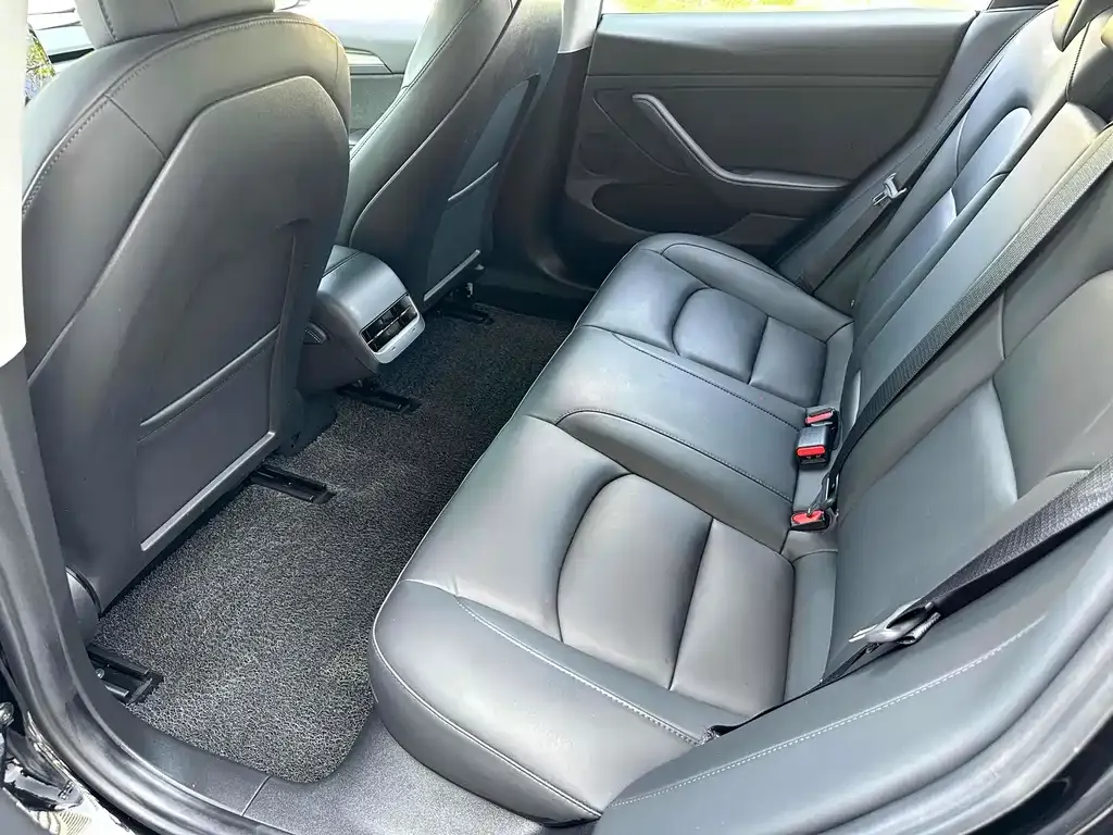 Tesla Model 3 2021 из CN, фото 5