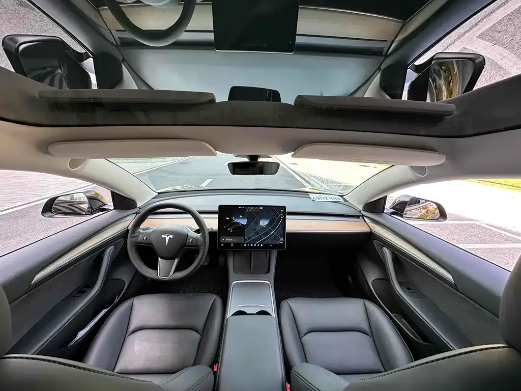Tesla Model 3 2021 из CN, фото 6