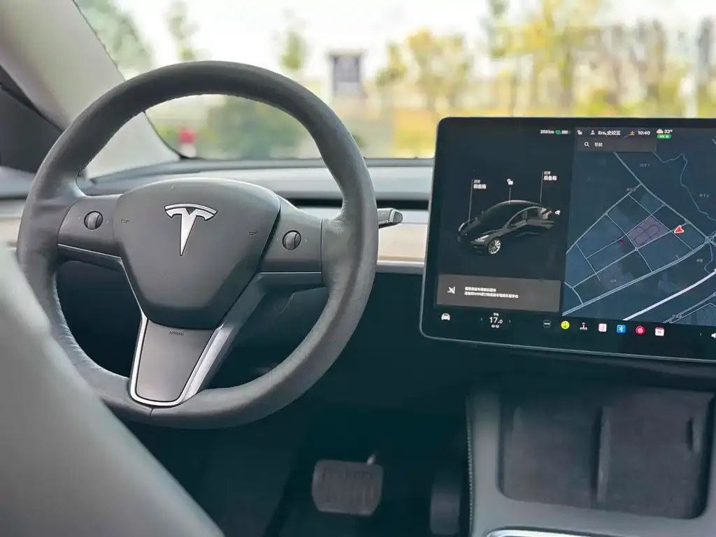 Tesla Model 3 2021 из CN, фото 8
