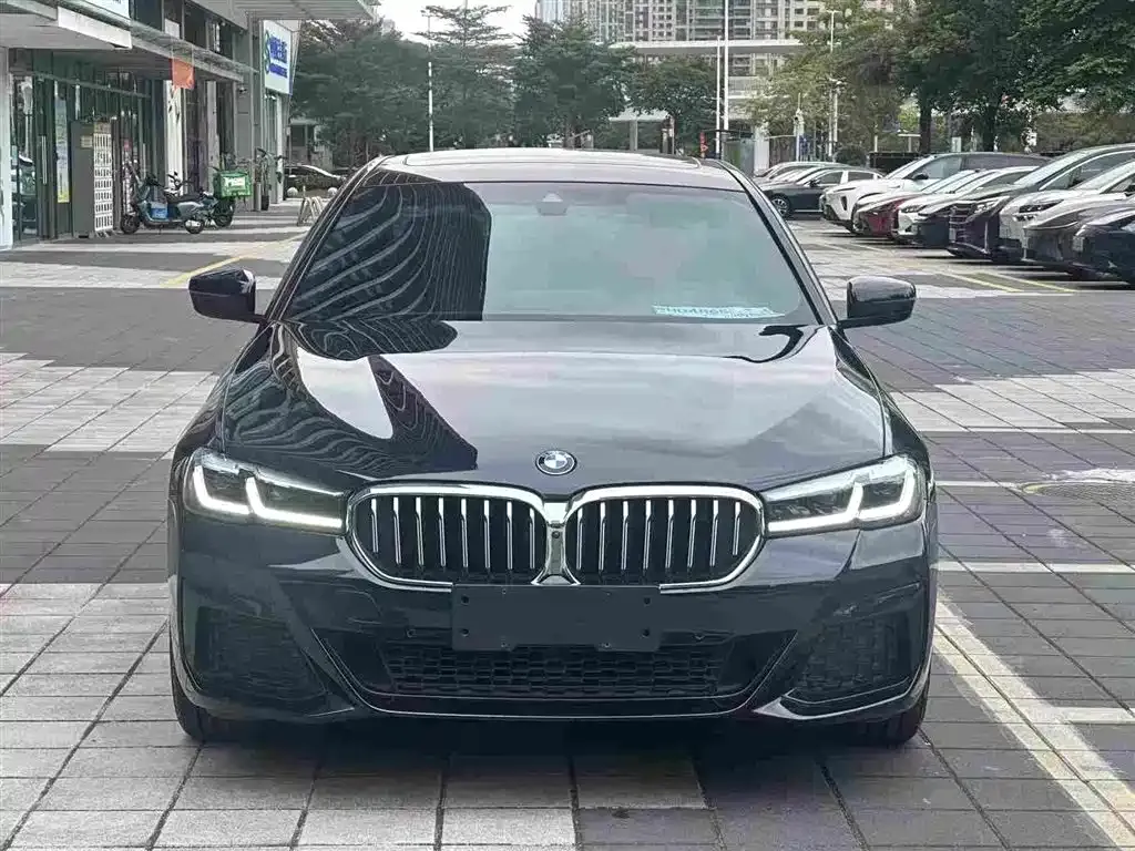 BMW 5 Series 2021 из CN, фото 1