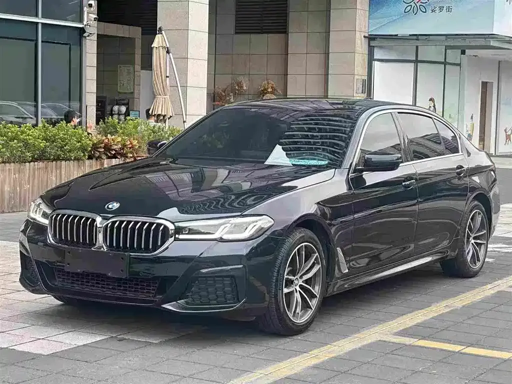 BMW 5 Series 2021 из CN, фото 2