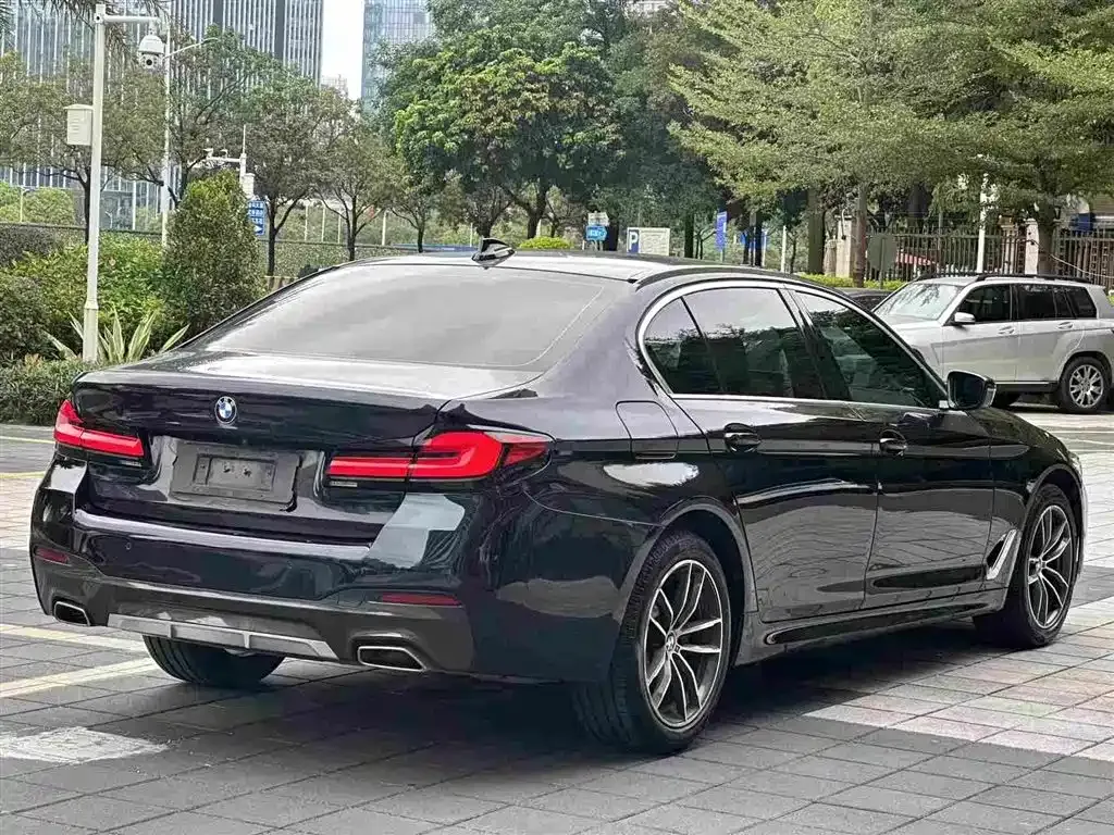 BMW 5 Series 2021 из CN, фото 3
