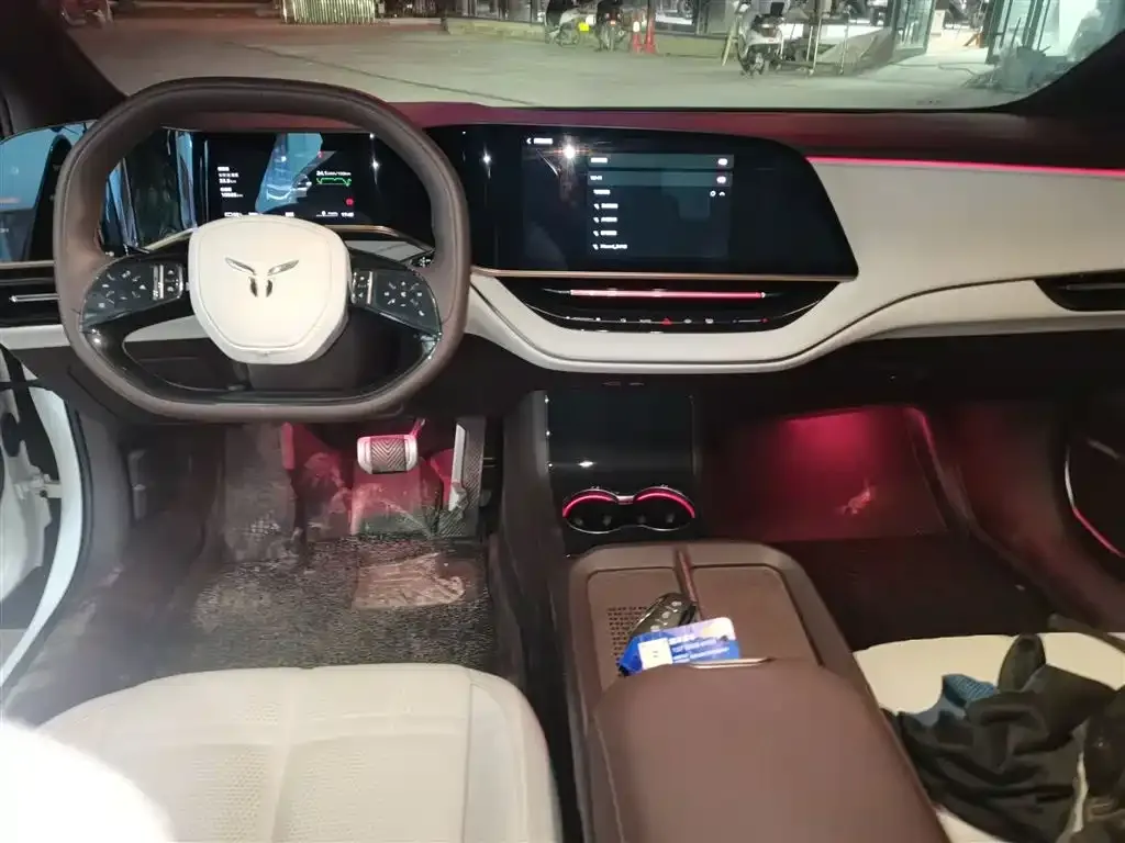 Hongqi EH7 2024 из CN, фото 10