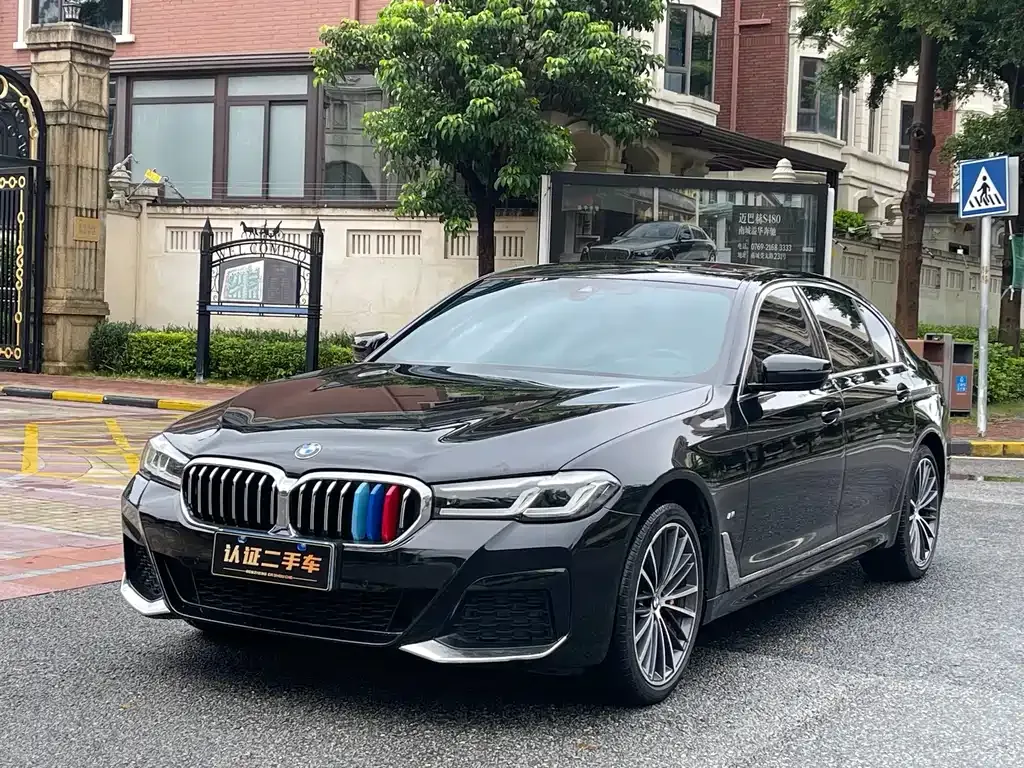 BMW 5 Series 2021 из CN, фото 1
