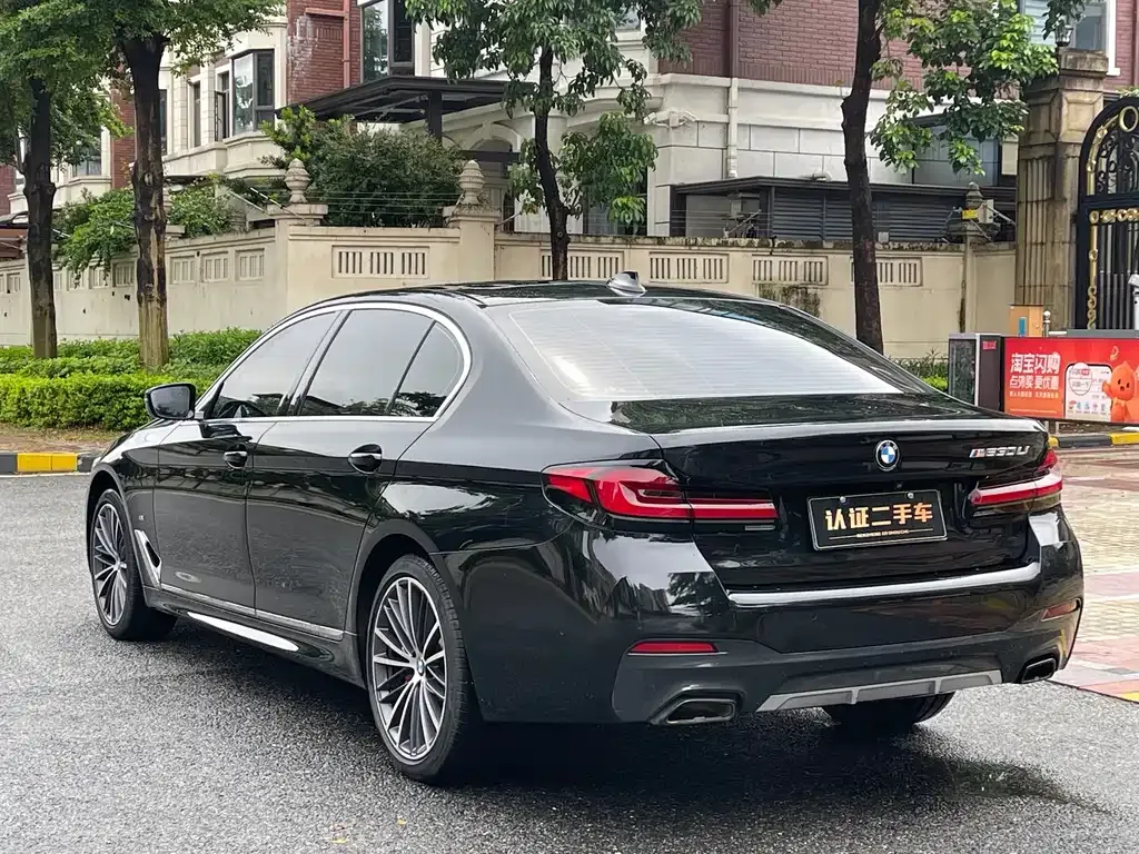 BMW 5 Series 2021 из CN, фото 10