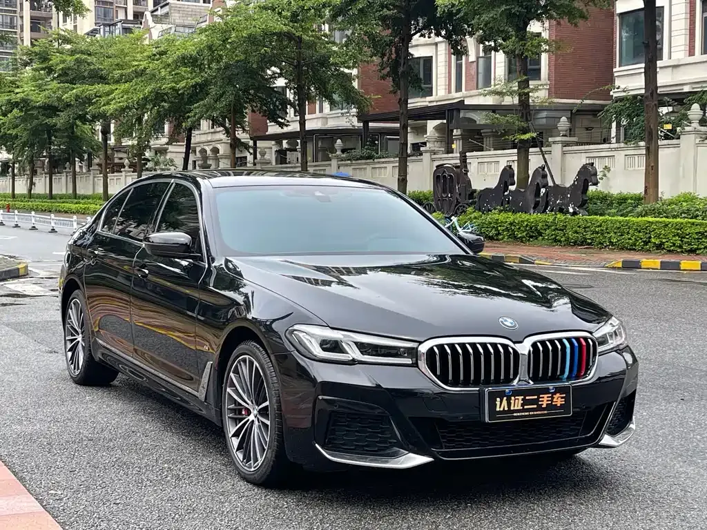BMW 5 Series 2021 из CN, фото 3