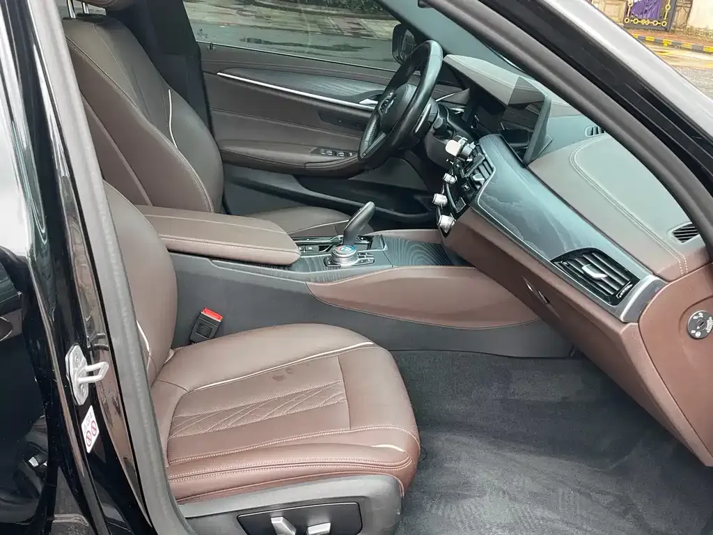 BMW 5 Series 2021 из CN, фото 4