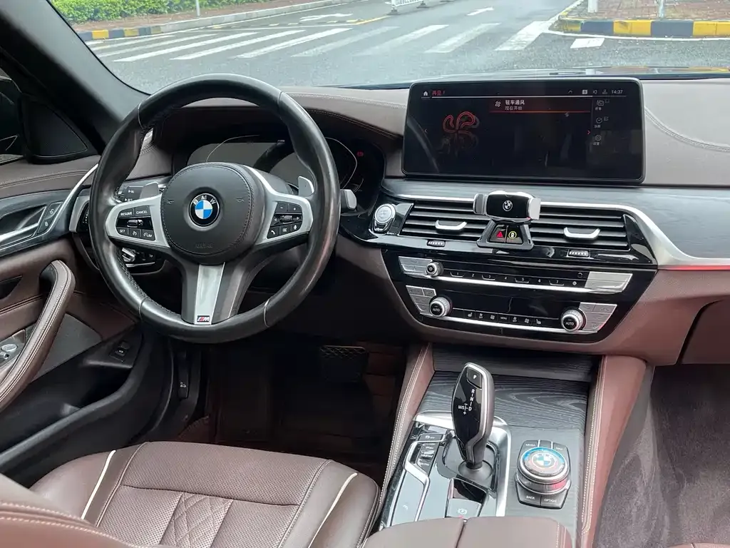 BMW 5 Series 2021 из CN, фото 5