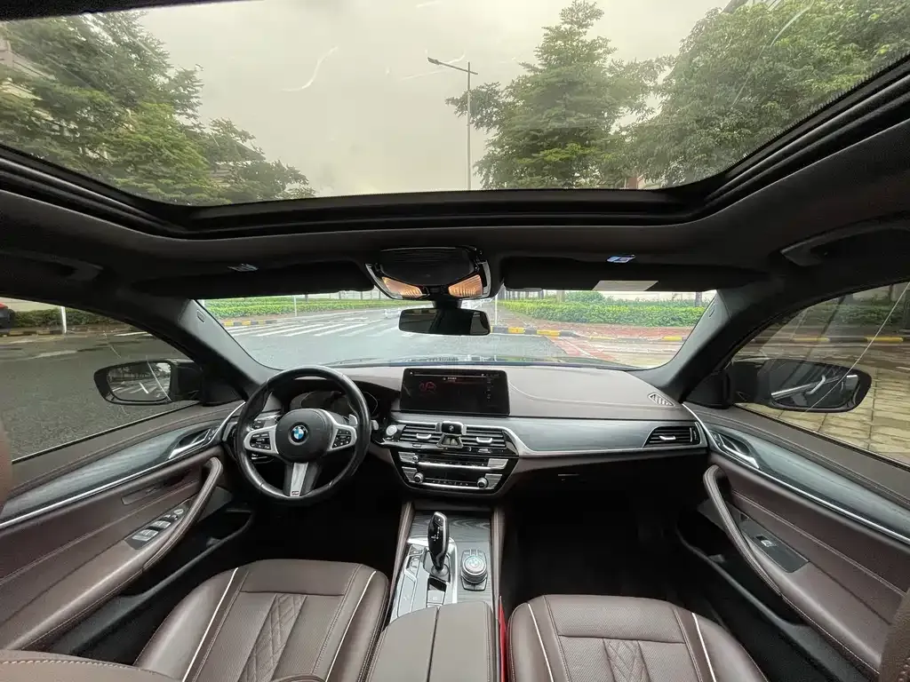 BMW 5 Series 2021 из CN, фото 6
