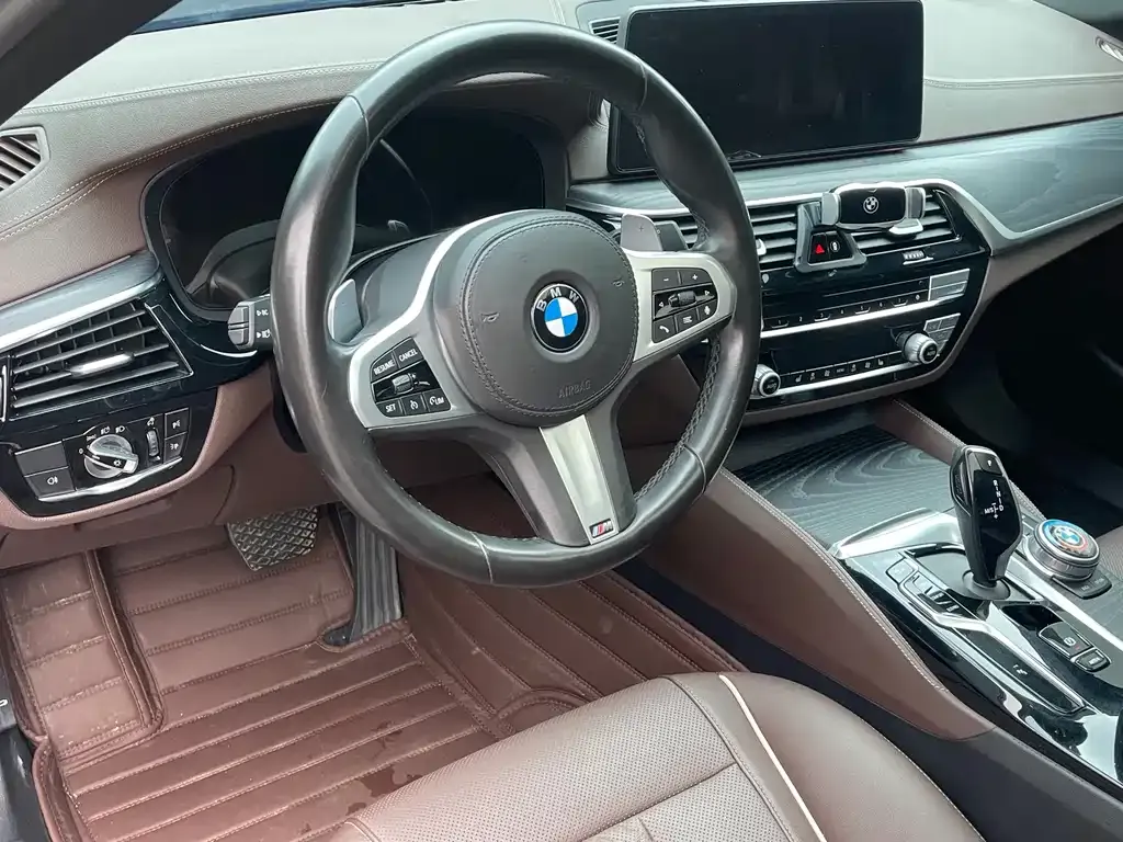 BMW 5 Series 2021 из CN, фото 7