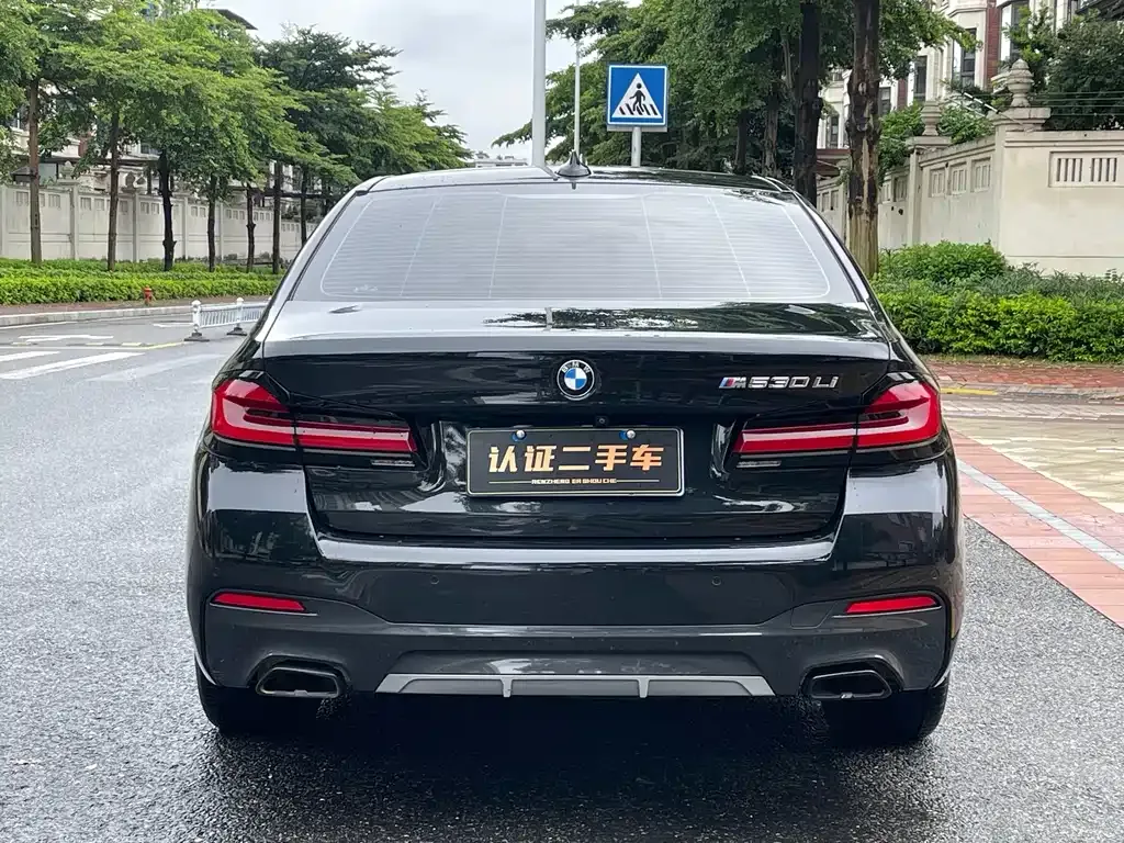BMW 5 Series 2021 из CN, фото 9