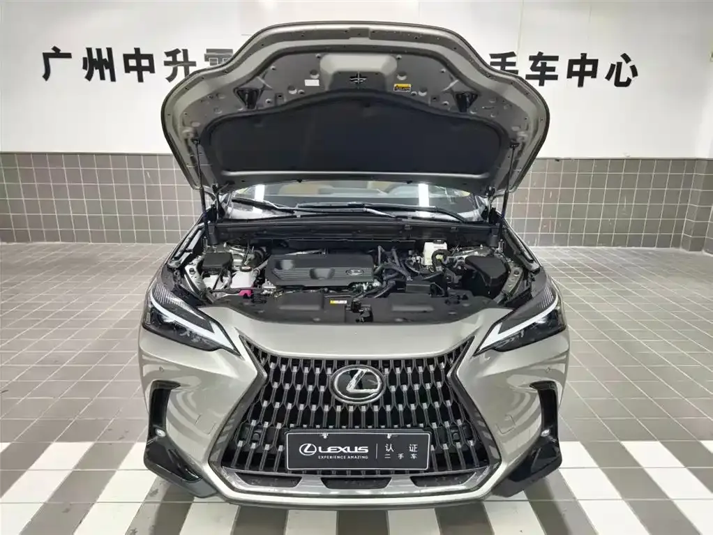 Lexus NX 2025 из CN, фото 4