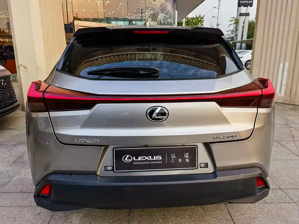 Lexus UX 2021 из CN, фото 10