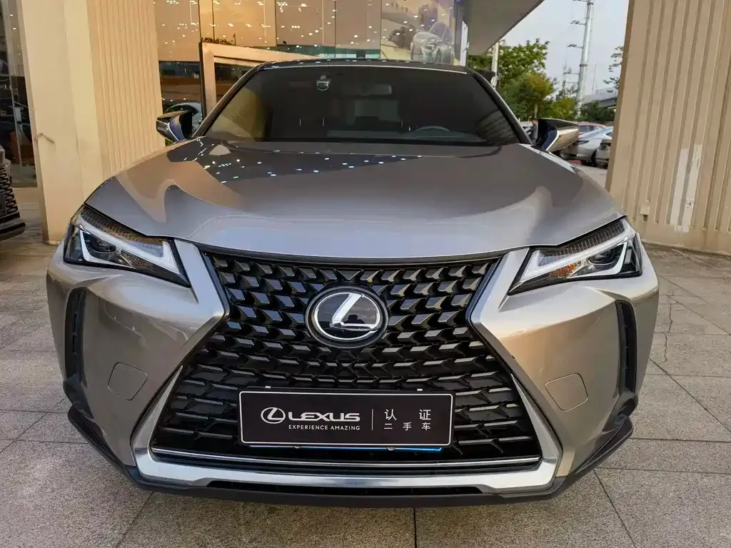 Lexus UX 2021 из CN, фото 2