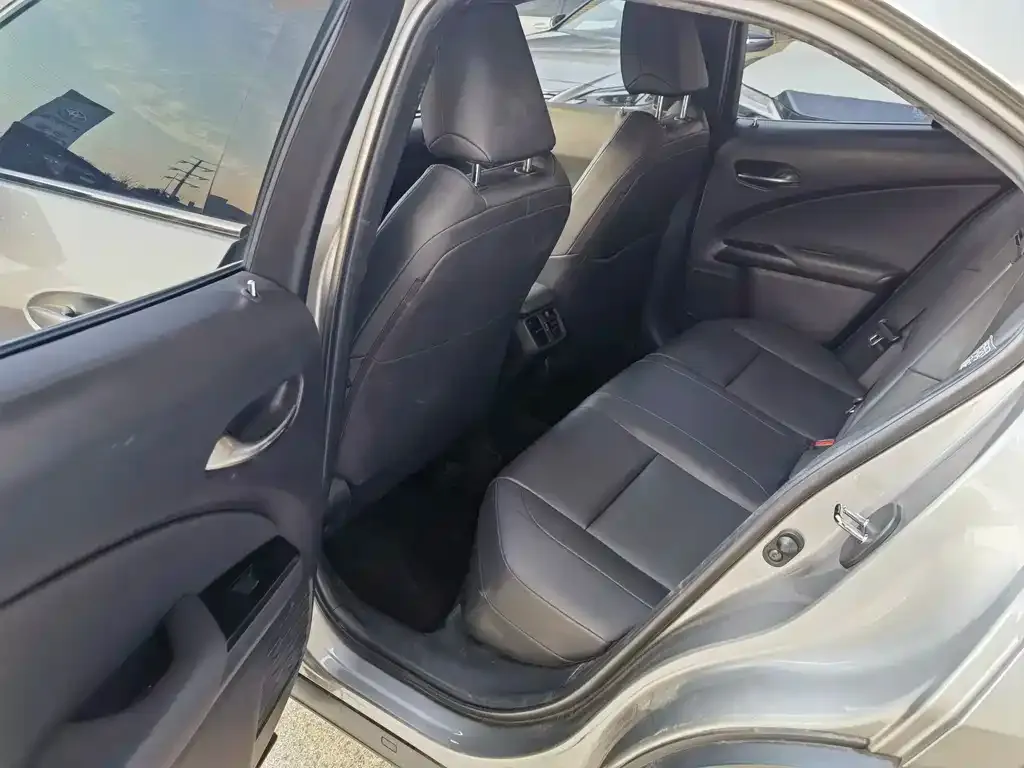 Lexus UX 2021 из CN, фото 5