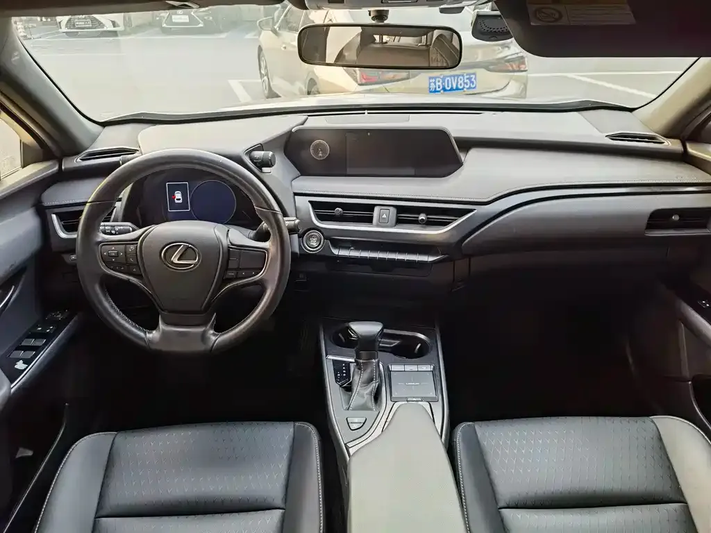 Lexus UX 2021 из CN, фото 6