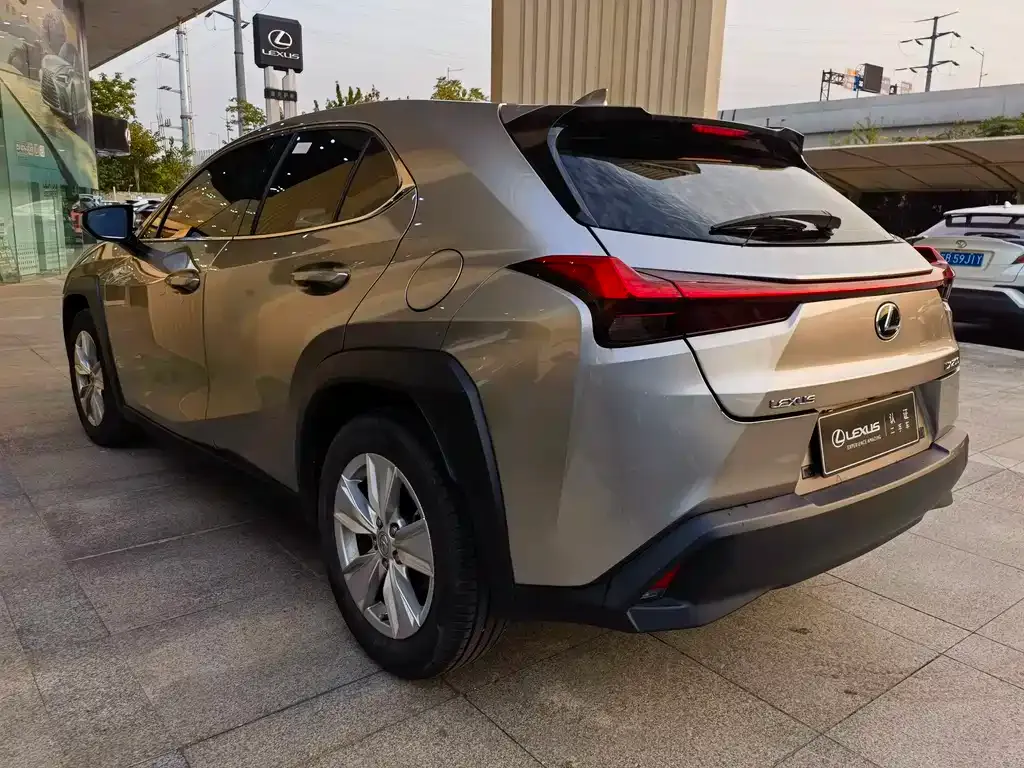 Lexus UX 2021 из CN, фото 9