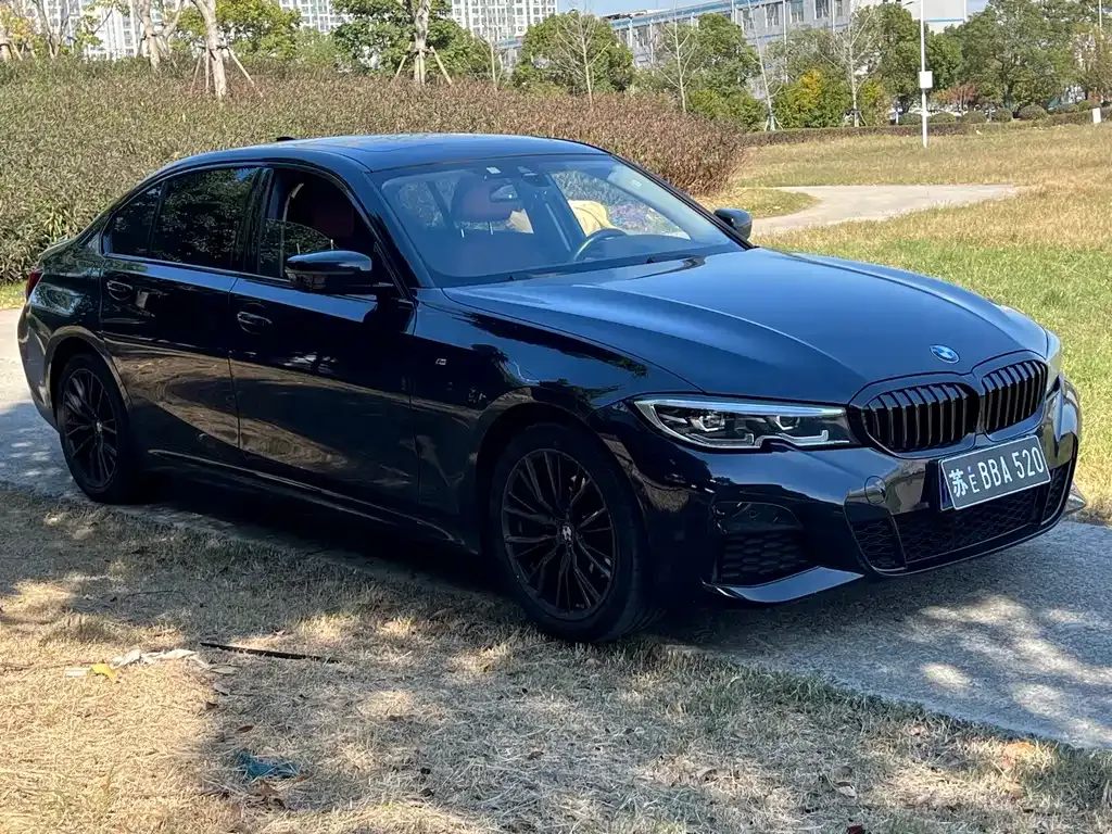 BMW 3 Series 2021 из CN, фото 3