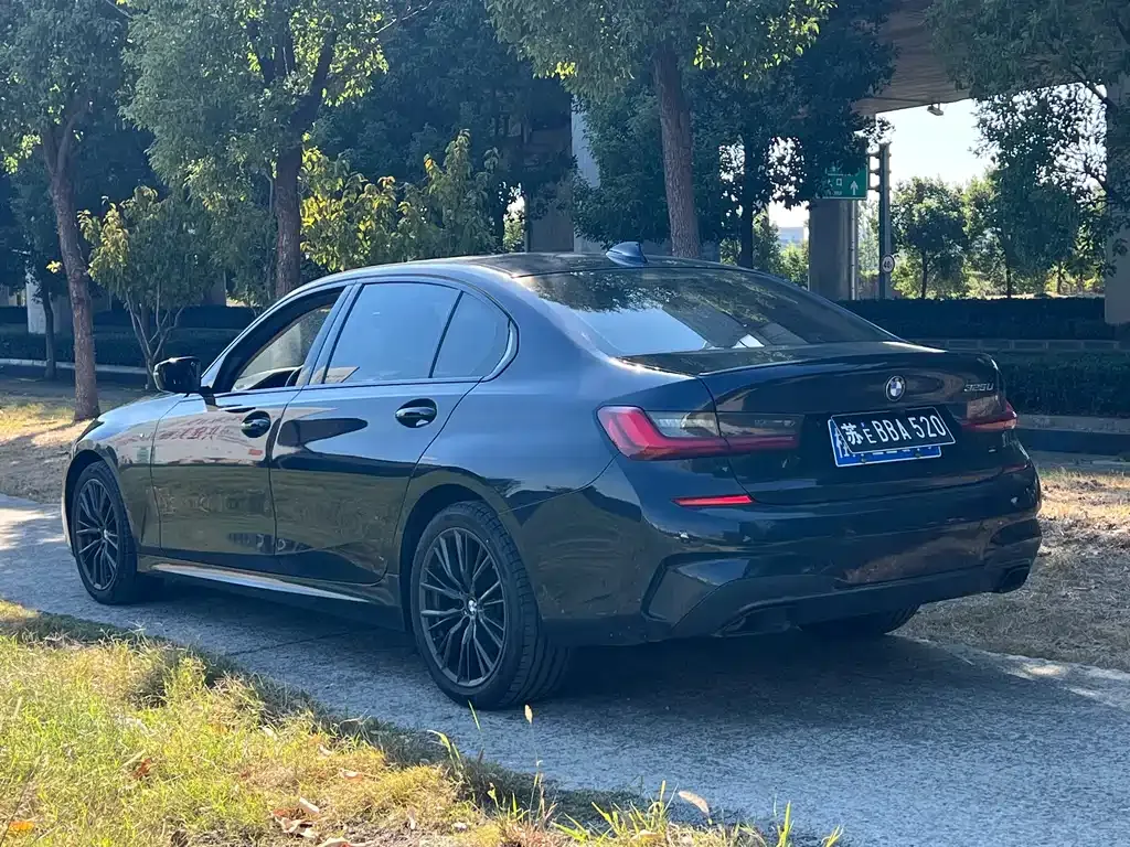BMW 3 Series 2021 из CN, фото 4