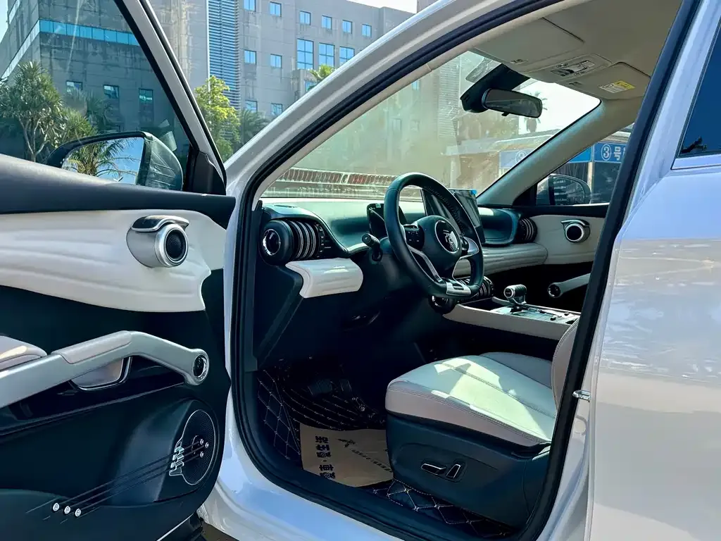 BYD Yuan Plus 2024 из CN, фото 4