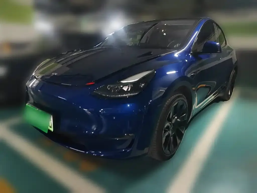 Tesla Model Y 2021 из CN, фото 1