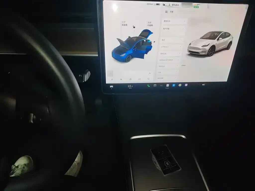 Tesla Model Y 2021 из CN, фото 6