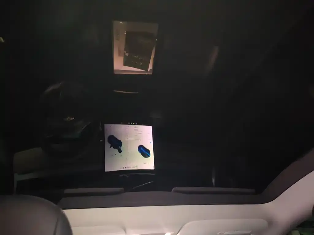 Tesla Model Y 2021 из CN, фото 9