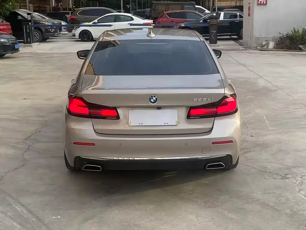 BMW 5 Series 2024 из CN, фото 8