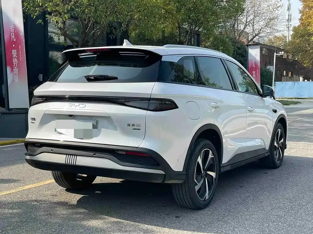 BYD Seal 05 DM-i 2025 из CN, фото 4