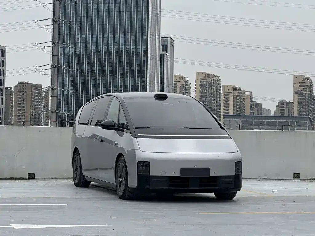 Li Auto Li MEGA 2024 из CN, фото 2