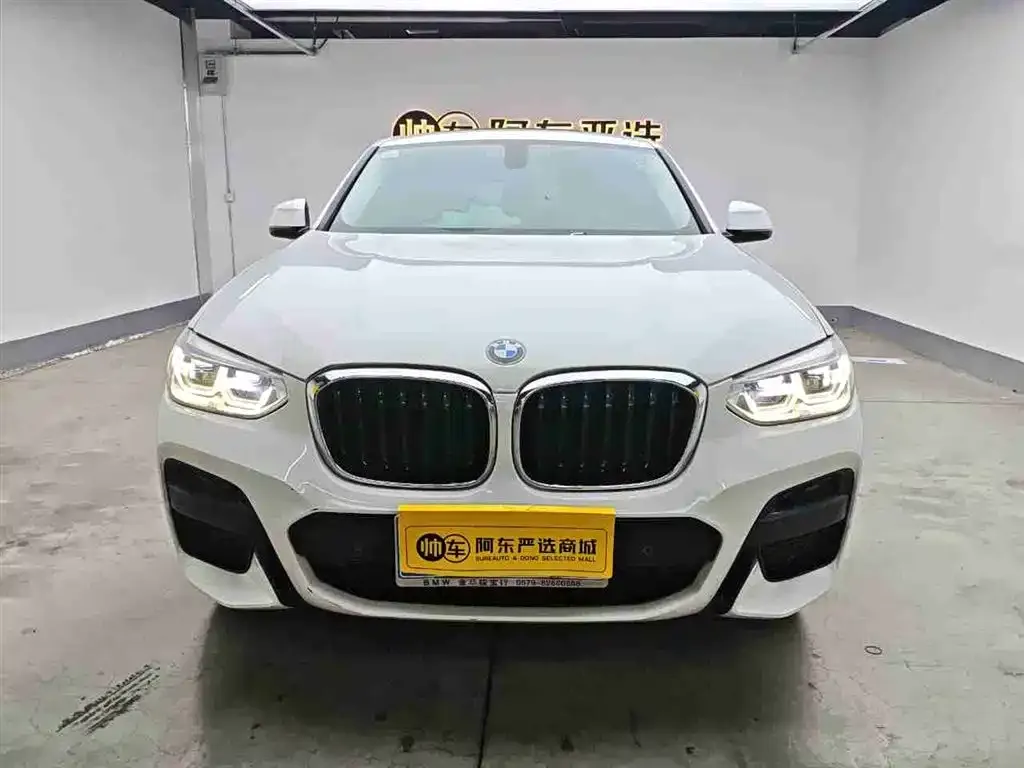 BMW X4 2021 из CN, фото 1
