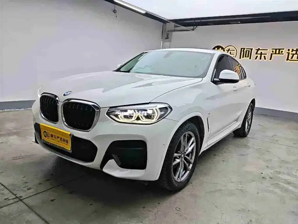 BMW X4 2021 из CN, фото 2