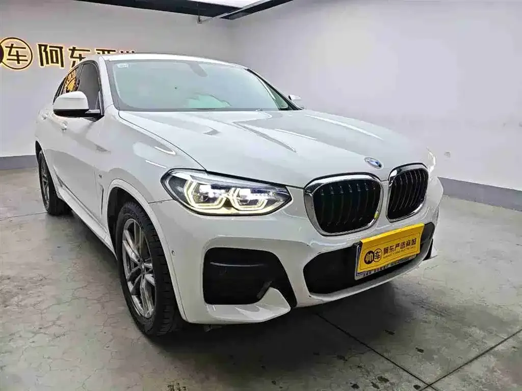 BMW X4 2021 из CN, фото 3