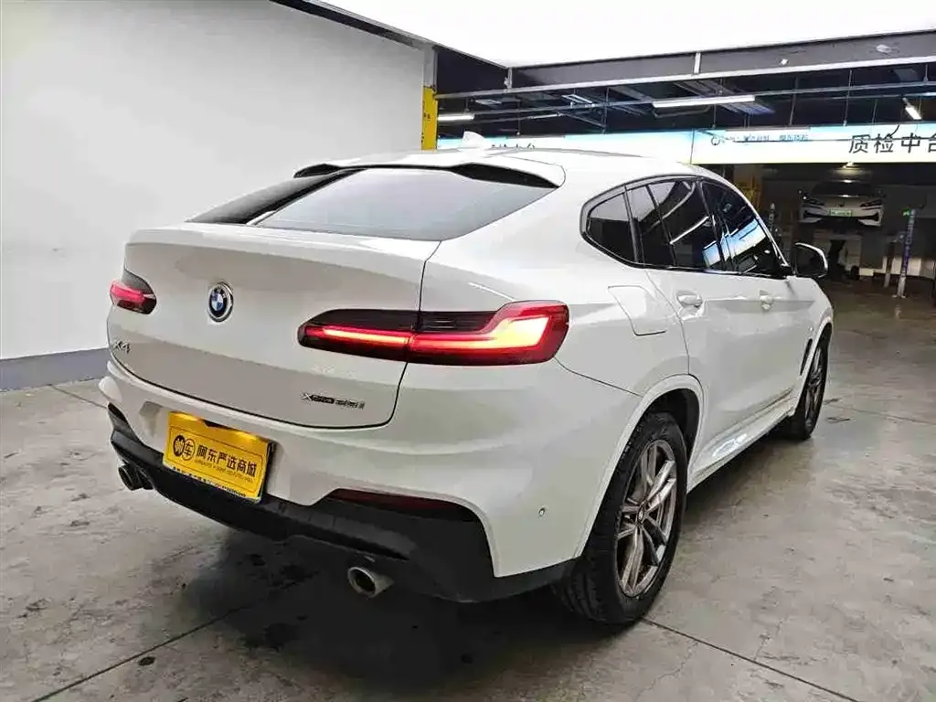 BMW X4 2021 из CN, фото 4