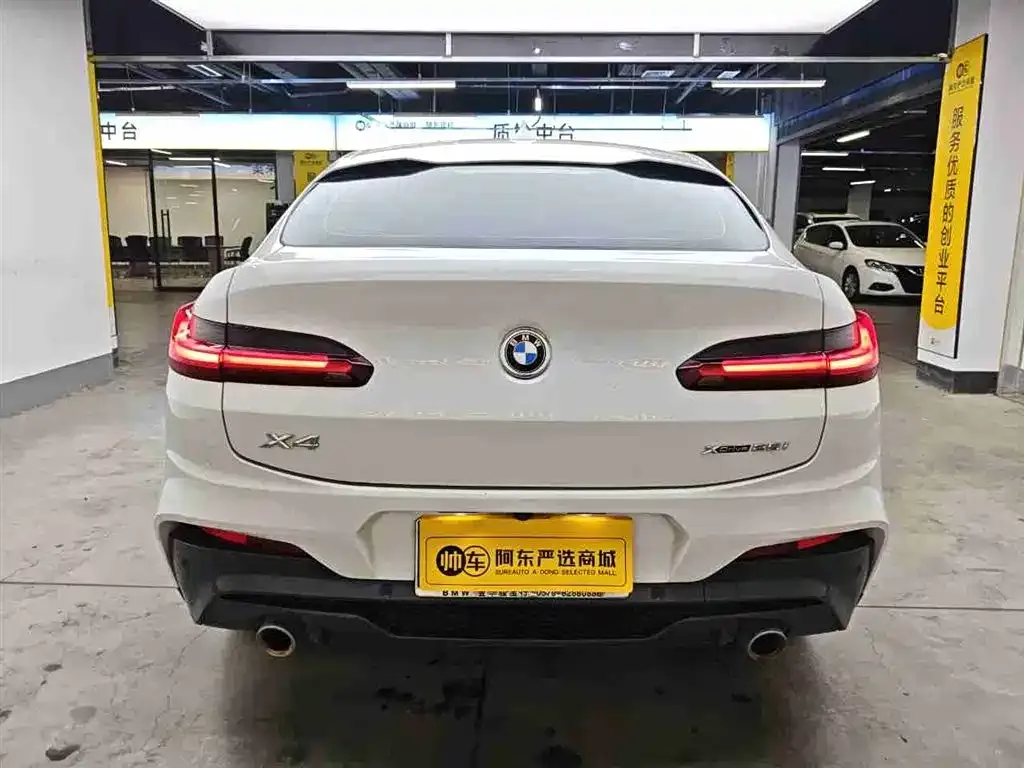 BMW X4 2021 из CN, фото 5
